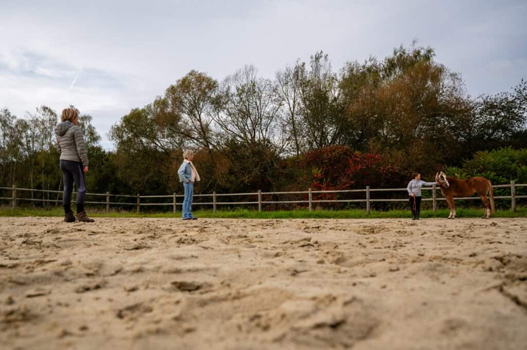leen van dingenen horse reflected coaching paard