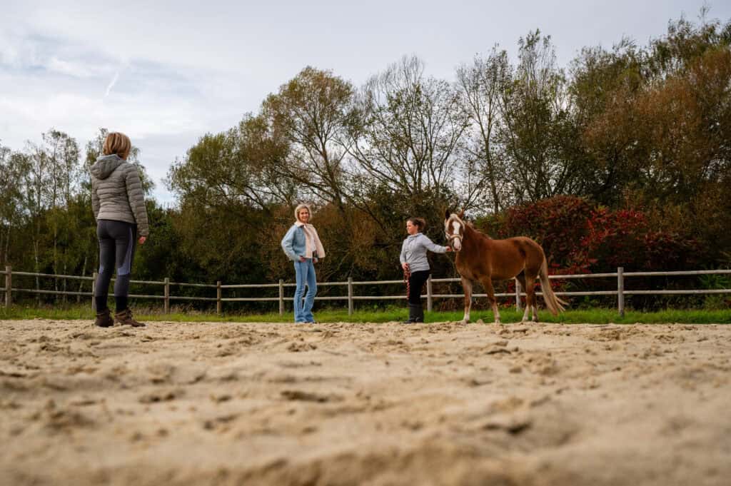 leen van dingenen horse